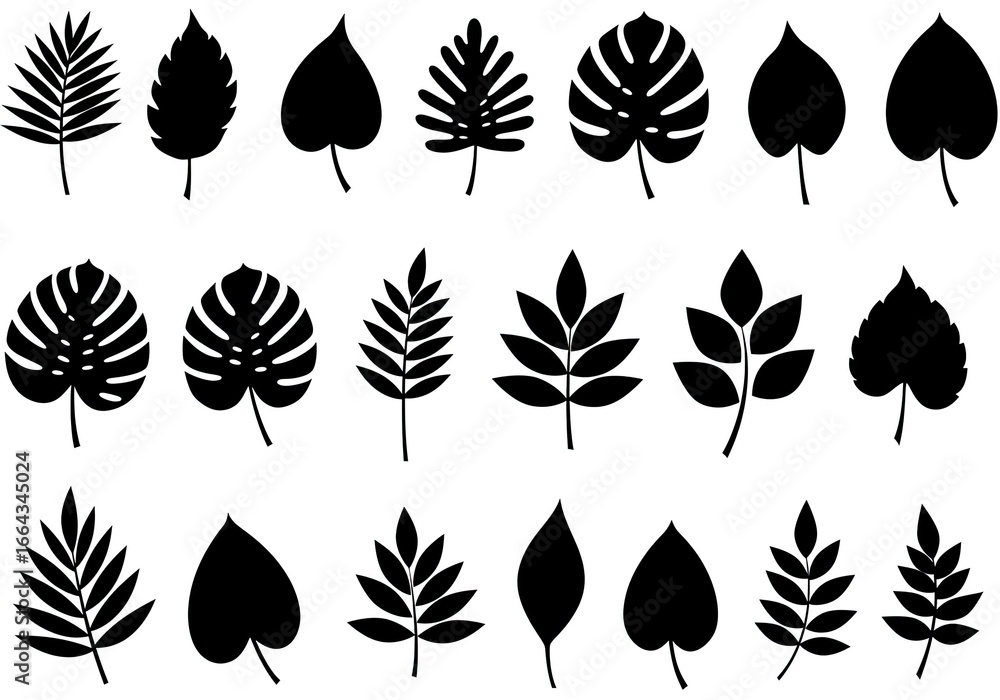 Fototapeta premium Collection of various leaf silhouettes, including monstera and fern leaves.