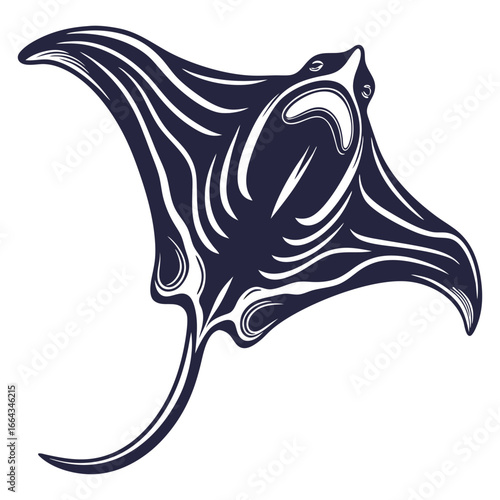 Monochrome vector showing skeletal structure of manta ray, highlighting unique anatomy and cartilaginous framework for educational or scientific use.