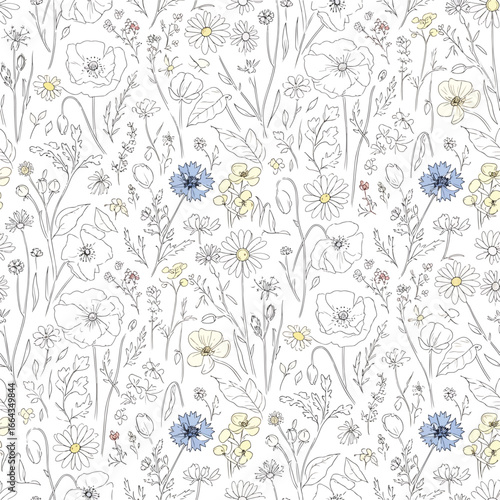 Seamless Pattern, Wildflower meadow seamless pattern featuring daisies, poppies, and cornflowers Stock royalty free image.