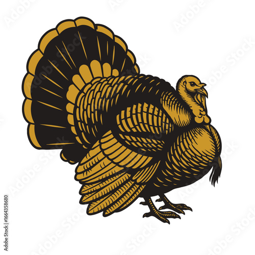 Stylized illustration of a male turkey with fanned tail feathers vector isolated on white background 