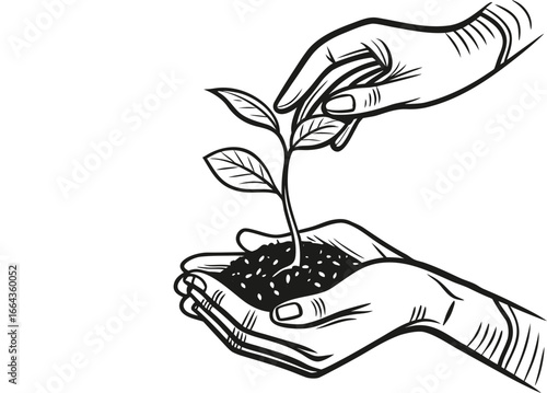 Hand holding a small green plant symbolizes growth, life, and the care for nature and our environment