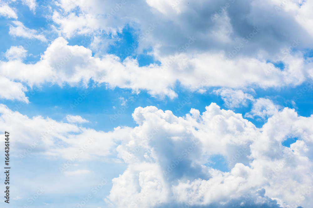 Fototapeta premium 夏の空 午後の空と雲39