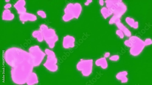 Pink hearts floating on a green screen background for love and romance