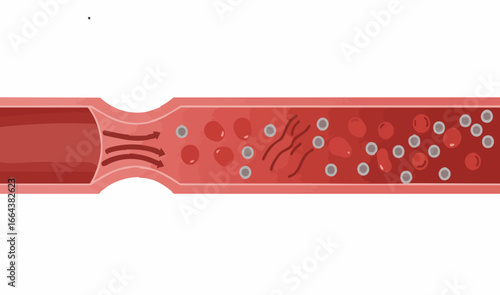 Vector Artery illustration depicting blood flow and particles within a vessel