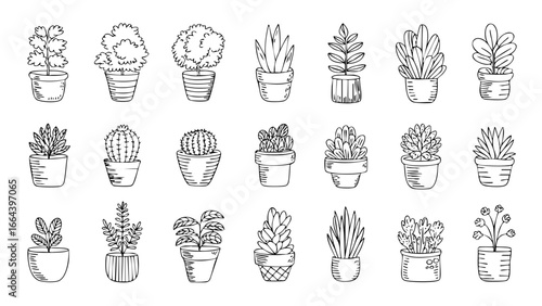 Collection of potted plants vector illustration, hand drawn indoor plants in pots for home decor and gardening 1