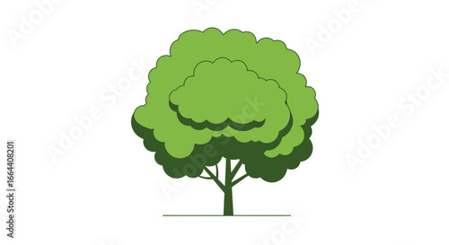 Illustration of a lush green tree with a round crown on a white background