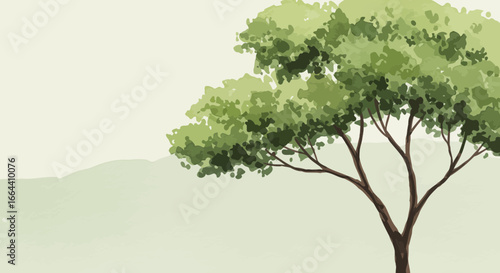 Watercolor tree illustration with soft background for peaceful natural scene