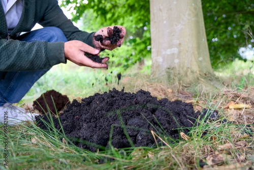 Photos Close-up of two hands holding a piece of terra preta, a highly fertile, dark soil enriched with organic matter, biochar, and thriving worms