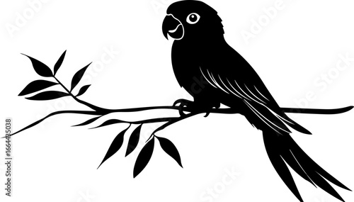 silhouette illustration of parrot on branch