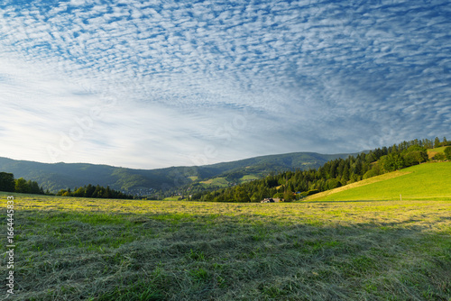 Fototapeta Naklejka Na Ścianę i Meble -  Górski krajobraz wśród wzgórz i bujnych zielonych pól, złota godzina, naturalne piękno, Beskidy, Cieńków, Polska