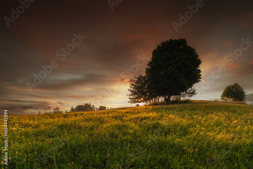 Fototapeta Naklejka Na Ścianę i Meble -  Górski krajobraz wśród wzgórz i bujnych zielonych pól, złota godzina, naturalne piękno, Beskidy, Cieńków, Polska
