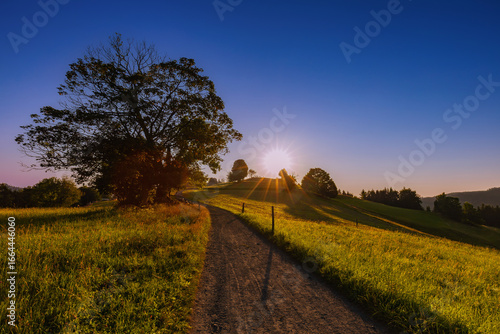 Fototapeta Naklejka Na Ścianę i Meble -  Górski krajobraz wśród wzgórz i bujnych zielonych pól, złota godzina, naturalne piękno, Beskidy, Cieńków, Polska