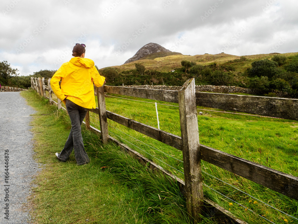 Naklejka premium Female tourist in yellow jacket is standing by a wooden fence and looking at Diamond hill mountain peak, Connemara, Ireland. Travel and tourism. Hiking and outdoor activity.