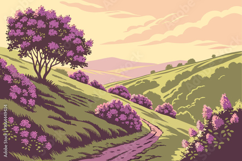 A rolling hillside in Vermont bursts with lilac blooms, their sweet scent carried on the crisp spring air at sunrise