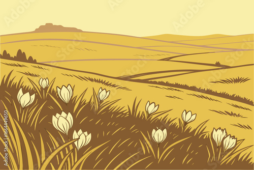 A windswept Wyoming plain scattered with blooming prairie crocus glimmers under a pale golden sunrise