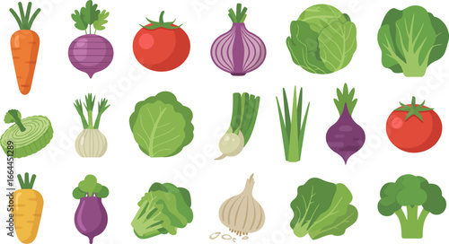 A vibrant collection of fresh, healthy vegetables arranged in a bright, organized pattern.