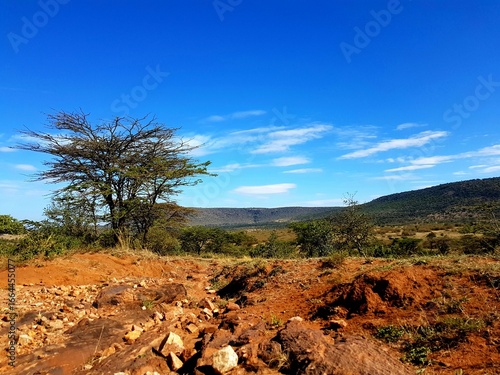 Natural road with bright red earth soil and green vegetation in the Masai Mara Wildlife Reserve, Kenya, under a steel blue sky and hills in the background