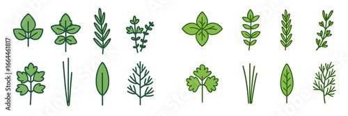 Green Herbs and Leaves Assortment, Minimalist flat design