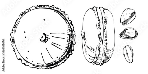 Candy dragee scattered on whoopie moon pies and macarons, sandwich biscuits with puffy cream filling in vector ink. Isolated hand drawn dessert artwork. Menu designs, cafe signs, sweet kitchen decor.