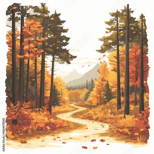 Autumn Trail Through Colorful Forest  