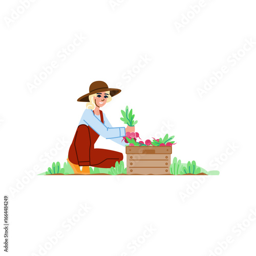Farmer harvesting radishes in wooden crate in vegetable garden