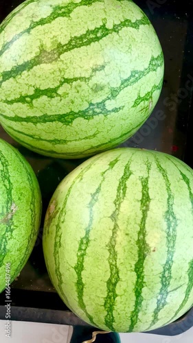 Watermelons in the market display