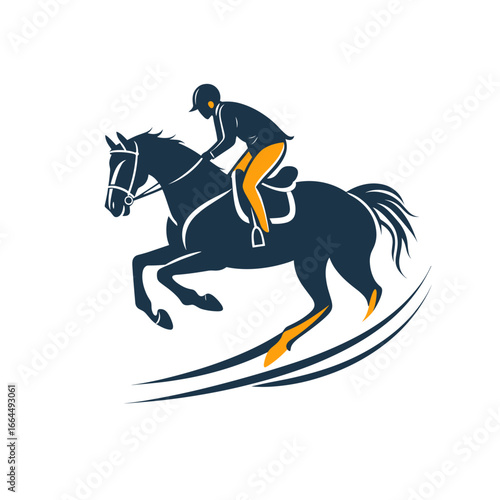 Elegant silhouette of a horse rider in motion