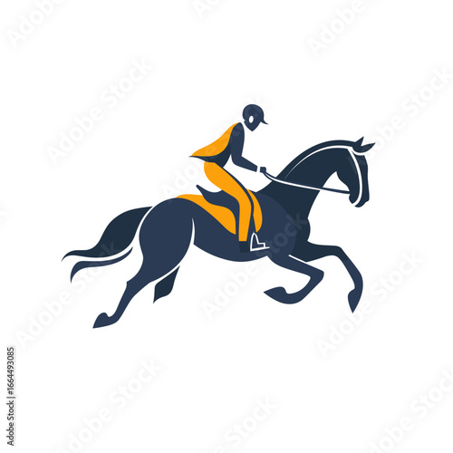 Elegant silhouette of a horse rider in motion