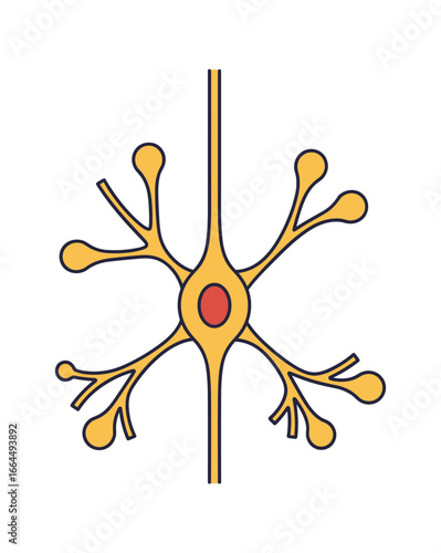 Detailed Neuron cell structure illustration with dendrites, axon and nucleus in bright colors. Vector Illustration.