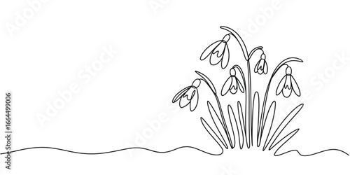Delicate snowdrop flowers in a simple line drawing style