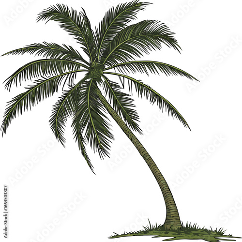 Palm Tree Vector | Generative AI Silhouette & Linocut Design