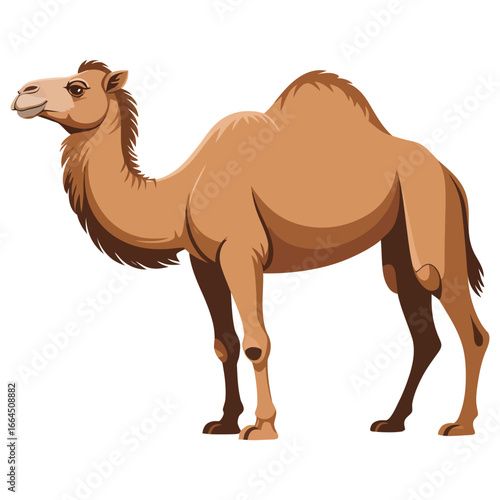 camel cartoon isolated