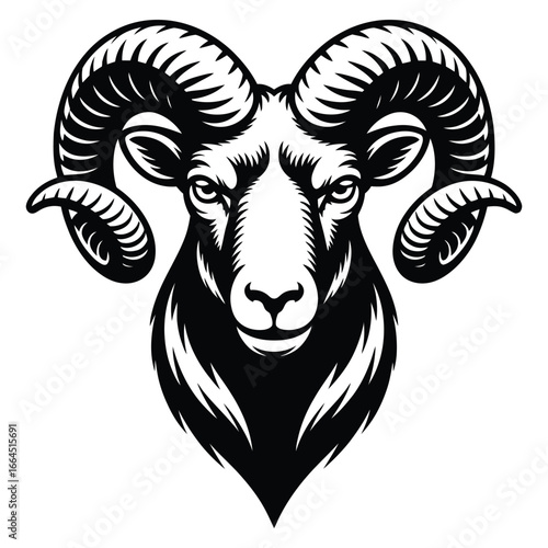 head of a ram