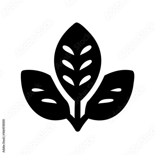 Stylized illustration of leaves showing plant, growth, and simplicity in design