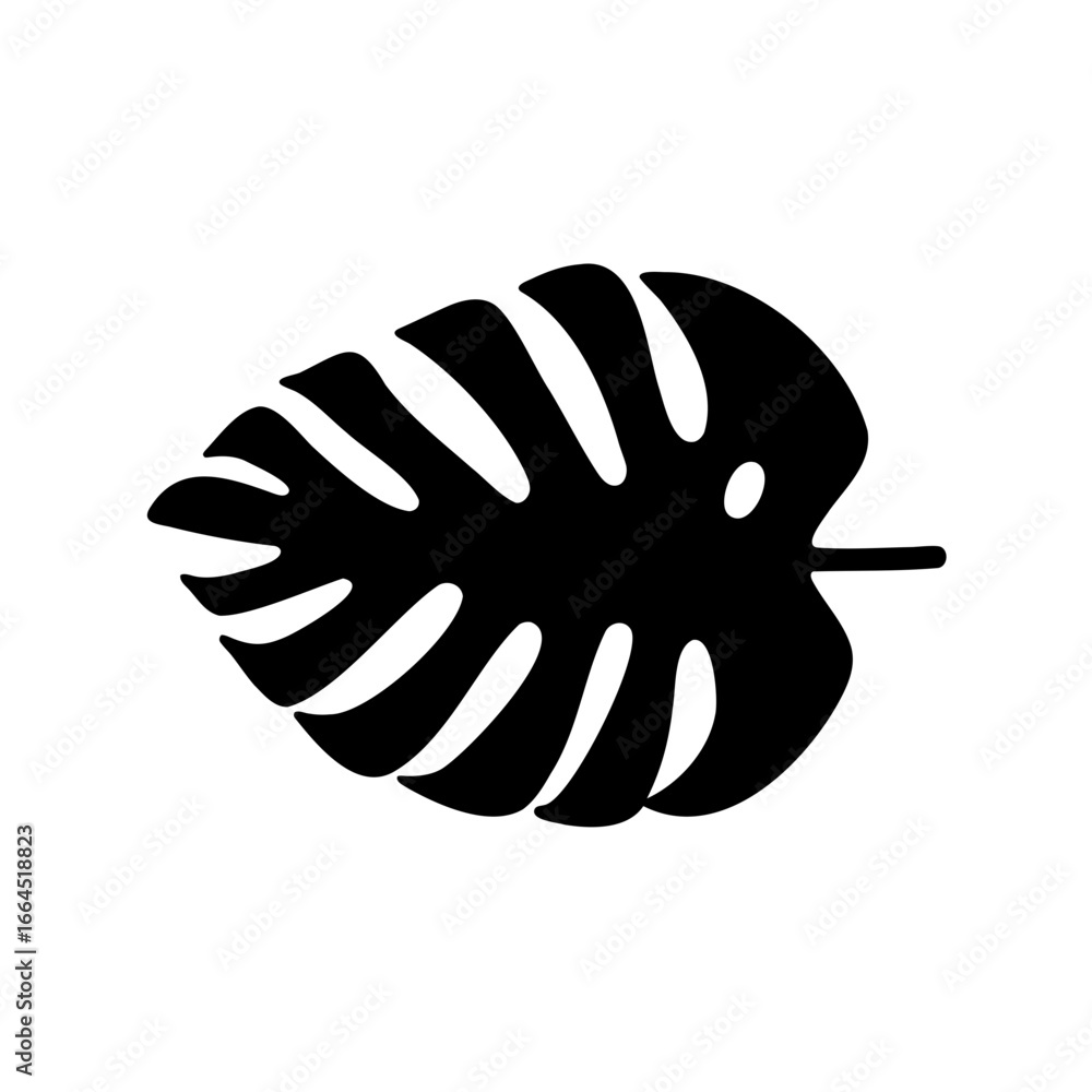 Obraz premium Silhouette of Monstera leaf on a white background for botanical illustration