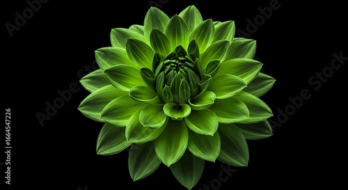 Emerald Bloom: A Study in Green