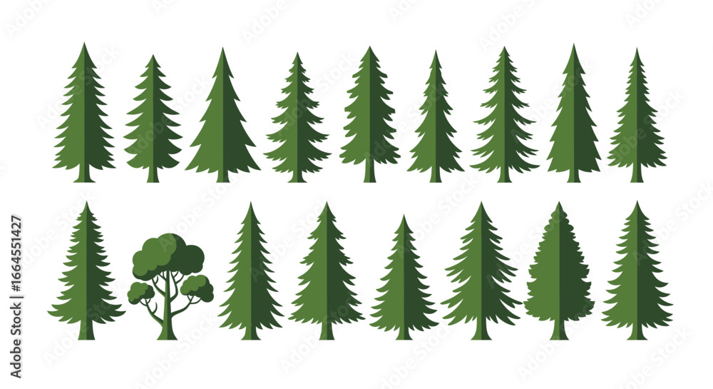 Obraz premium Create a stunning forest scene with these evergreen trees for your next design project or holiday cards
