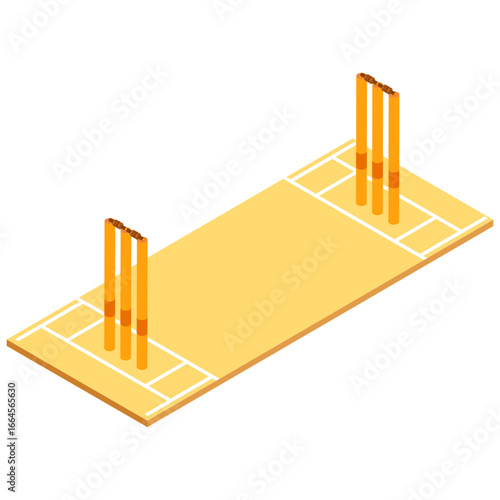 Isometric Cricket Pitch Icon