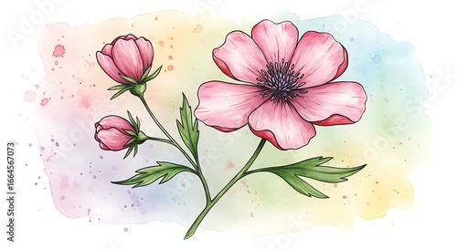 Watercolor Bloom: Pen & Ink Floral Art