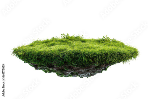 A grassy hill with a small patch of dirt in the middle. The grass is lush and green, and the dirt is brown. The hill is isolated and peaceful, with no other objects or people in the scene