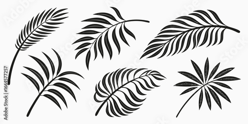 Wallpaper Mural Collection of Stylized Black Palm Leaves. Torontodigital.ca