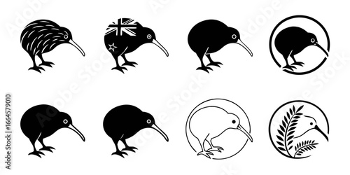 Collection of Stylized Kiwi Bird Illustrations and Icons