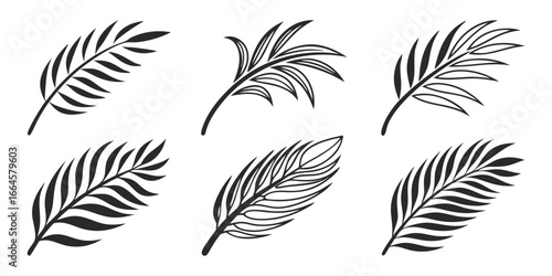 Collection of Stylized Palm Frond Silhouettes
