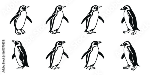 Collection of Stylized Penguin Illustrations
