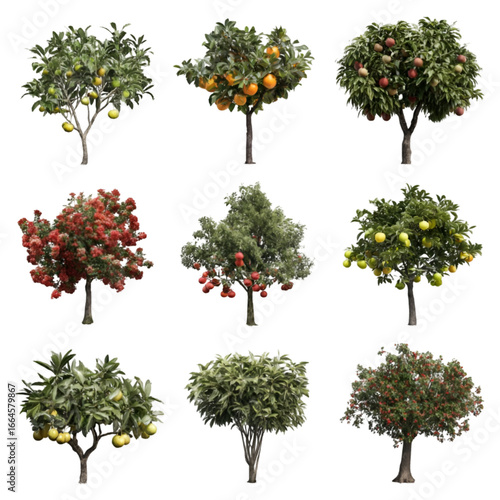 Nine Isolated Fruit Trees: Oranges, Apples, Pomegranates, Lemons, and Flowering Tree;  High-Resolution Images for Design, Isolated on Transparent Background