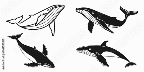 Collection of Stylized Whale Illustrations