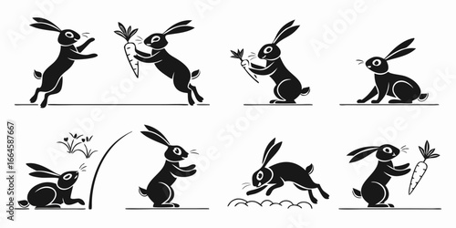 Playful Black Rabbits in Various Poses with Carrots