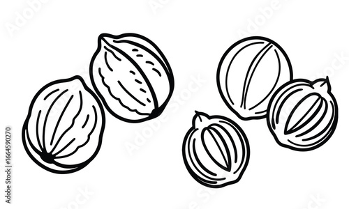 Three walnuts arranged in a row symbolizing intelligence and cerebral function on a neutral setting