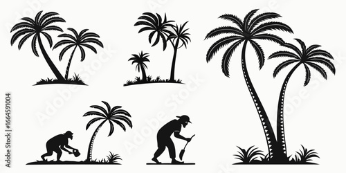 Silhouette of palm trees and people working