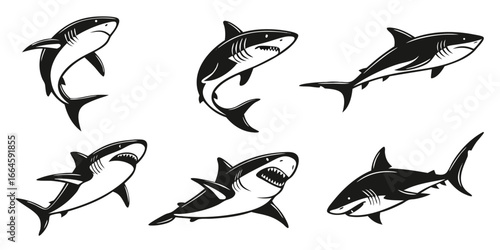 Six Stylized Black and White Shark Illustrations